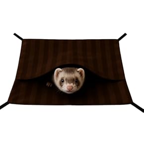 小動物用ケージ・アクセサリー - Amazon.co.jp